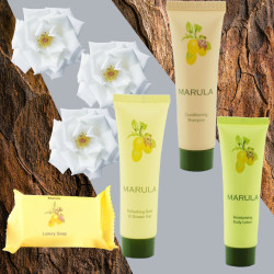 Marula Range x 100 (Full...