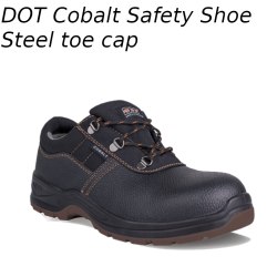 Safety Shoe - Cobalt