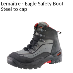 Eagle Safety Boot - Lemaitre (Raptor Range)