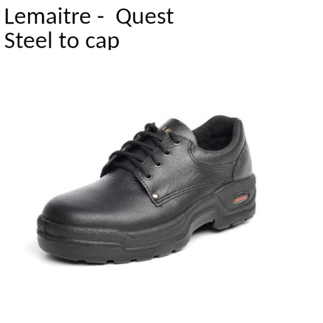 Quest Shoe - Lemaitre (Parabolic Range)