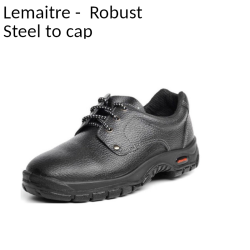 Robust Shoe - Lemaitre (Maxeco Range)