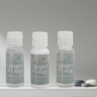 Ginger and Lime 30ml X 100 - Full Range