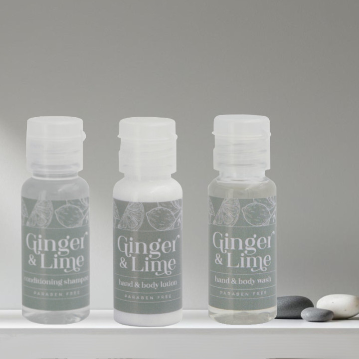Ginger and Lime 30ml X 100 - Full Range