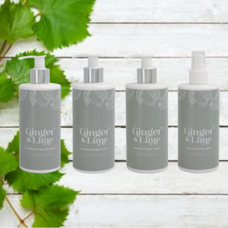 Ginger and Lime 300ml X 12 - Full Range