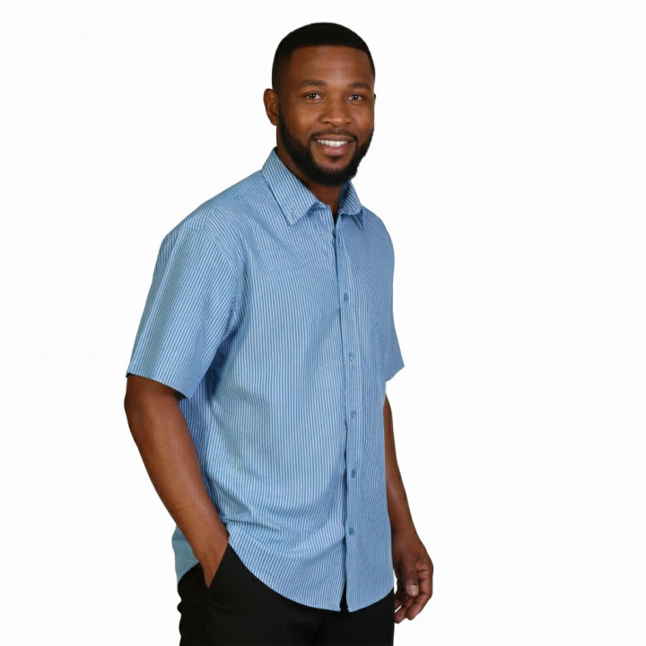 Cameron Shirt Short Sleeve - Stripe