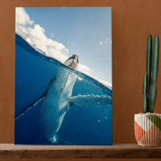 Canvas Printing - A4