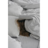 King Size Sheets